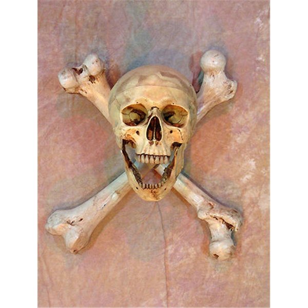 Perfectpretend Wall Sconce Skull-Bone  Life-Size Skull on Femur Crossbones no Candle PE1413064